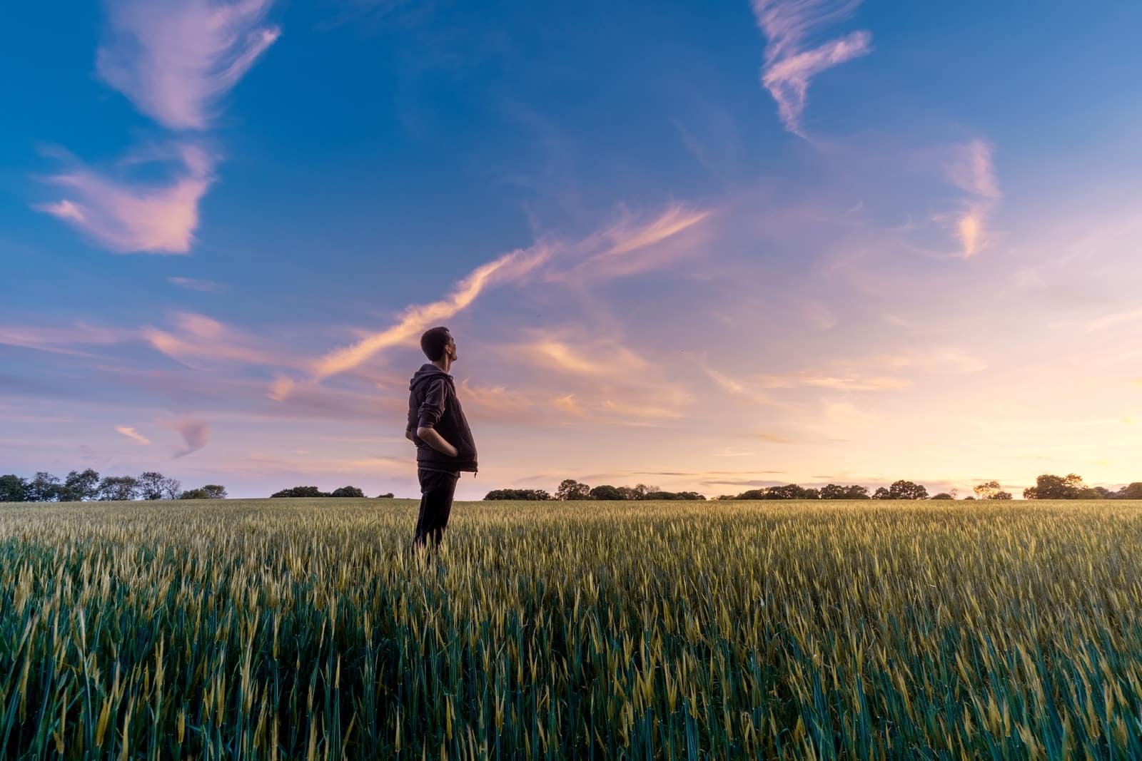 Le bail agricole