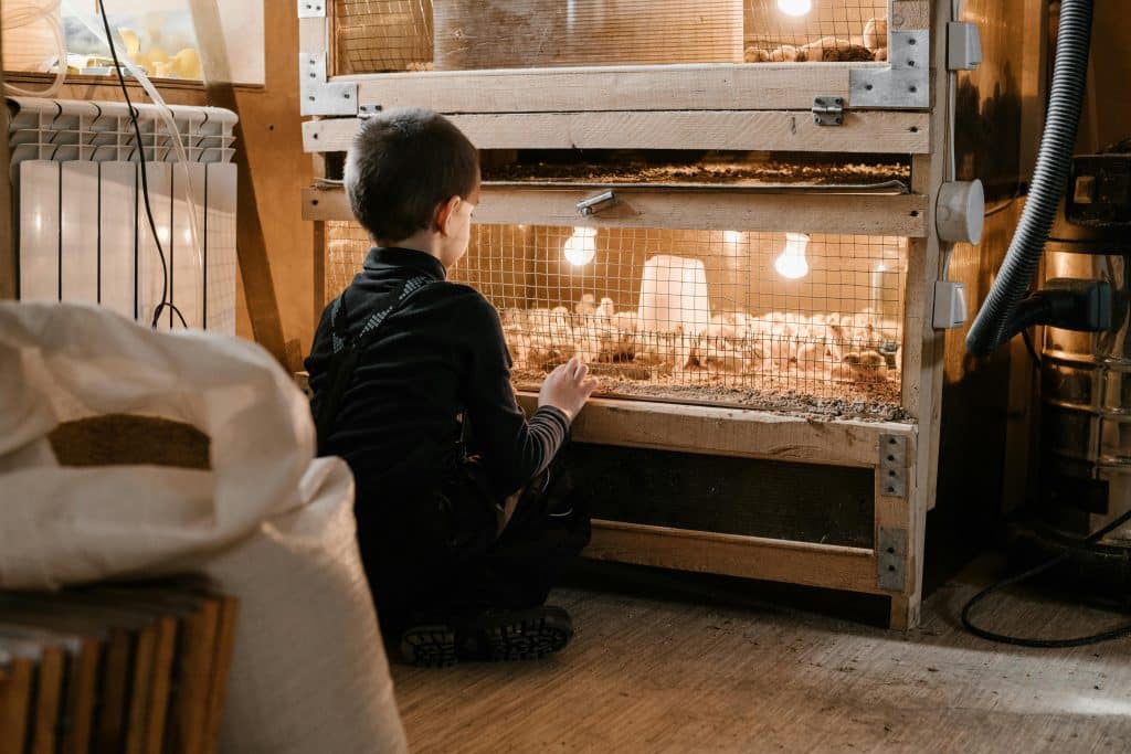 ferme-pedagogique