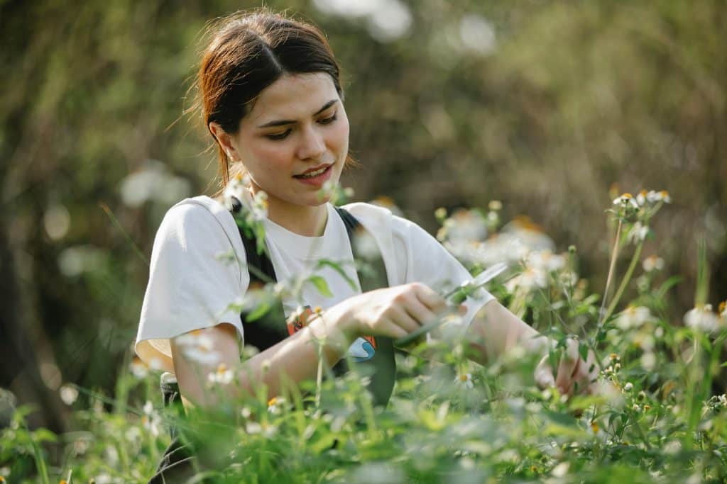 devenir-jardinier-sans-diplome